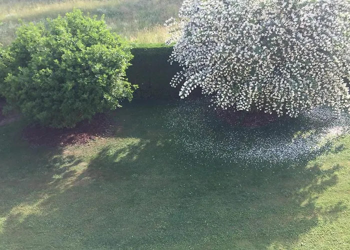 Appartementhaus Moser Lejlighed *